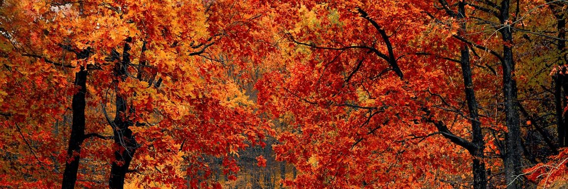 RuggHolly1's profile banner image