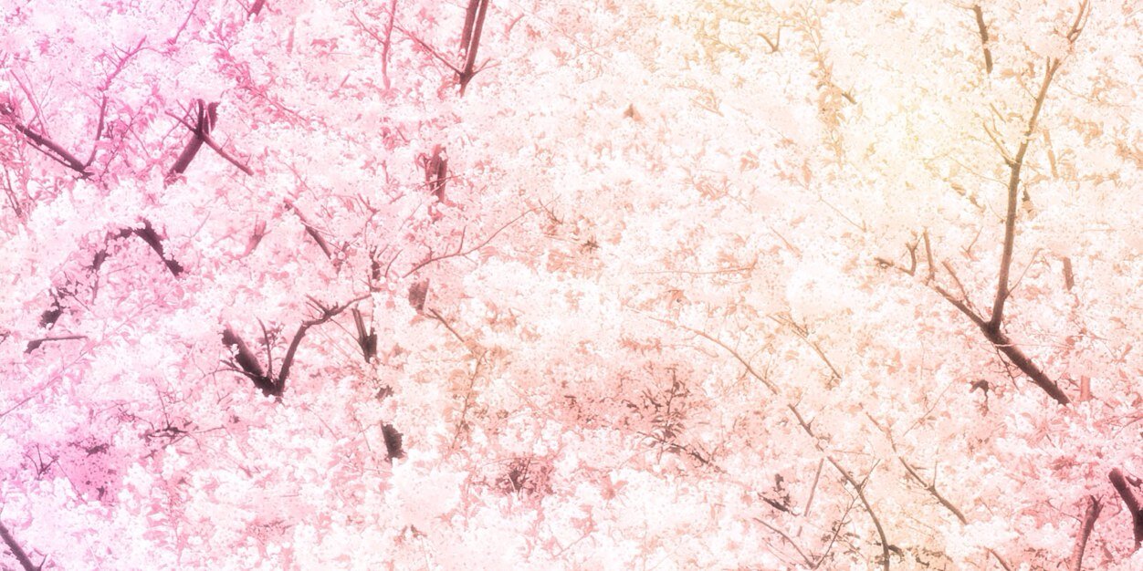 11jb047's profile banner image