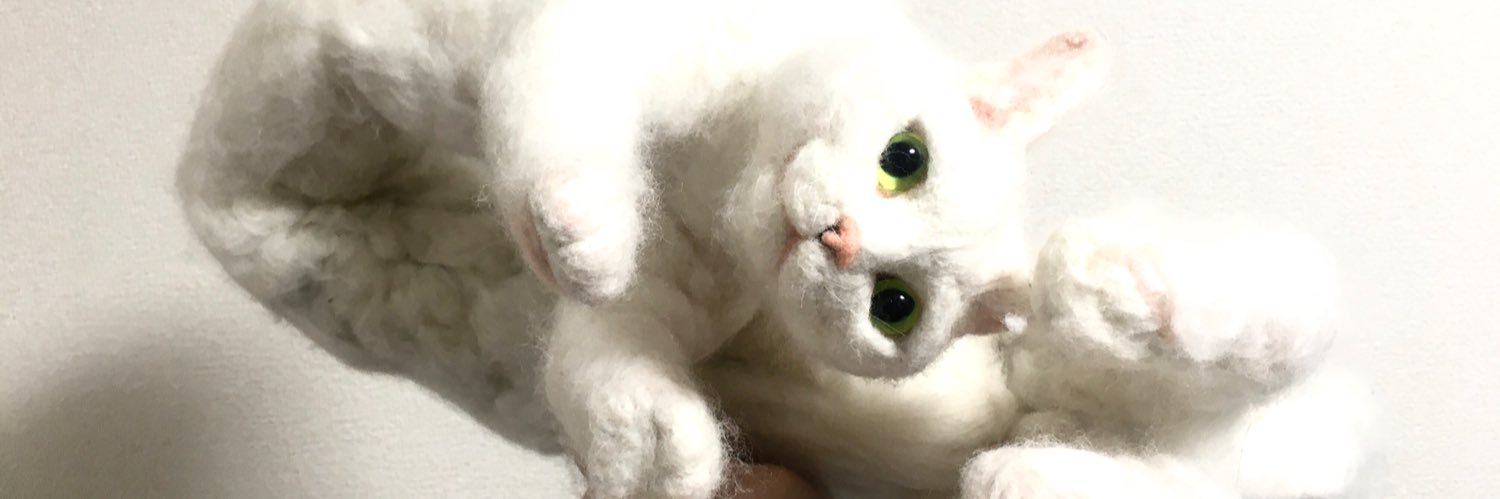 sacocho's profile banner image