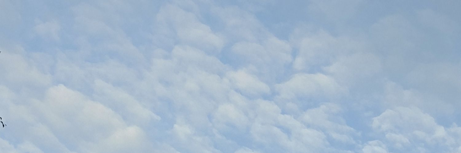 MeuryRivero's profile banner image
