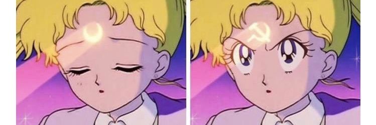 eveedream🌹🌱🏳️‍🌈😷 banner