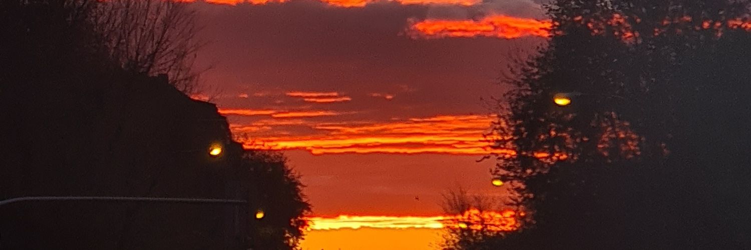 Bebernix's profile banner image