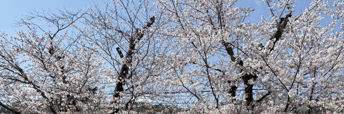 のあ！ banner