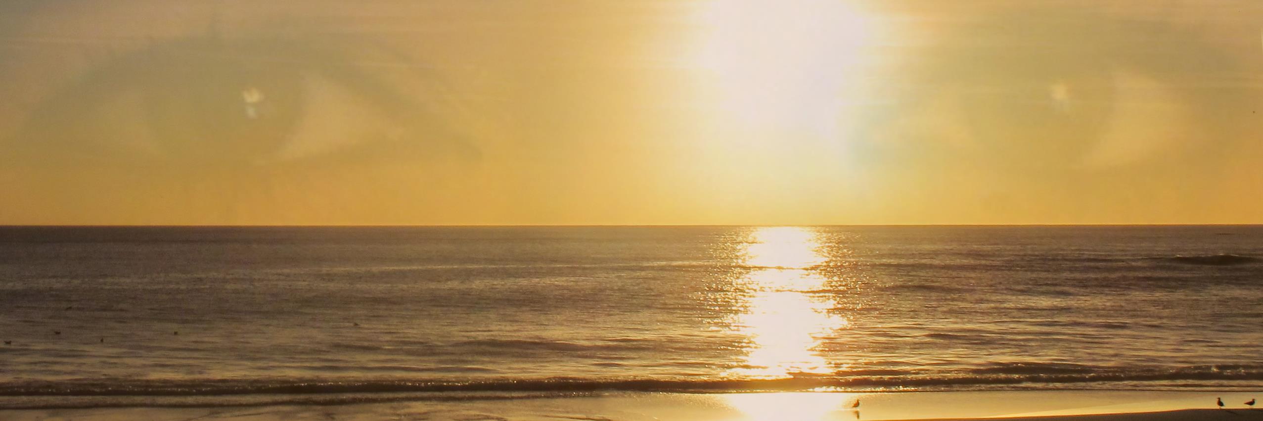 Editacambeiro's profile banner image