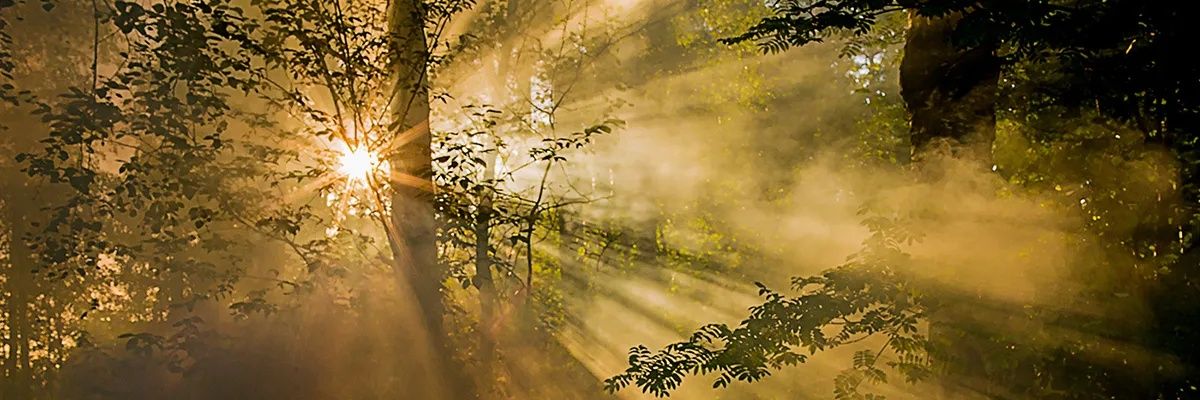 Shestofew's profile banner image