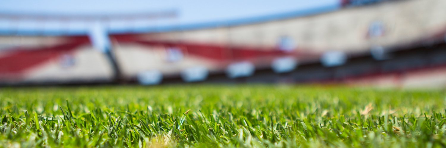 Zinedine Ricane banner