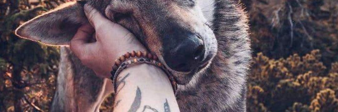 Zopaee1's profile banner image