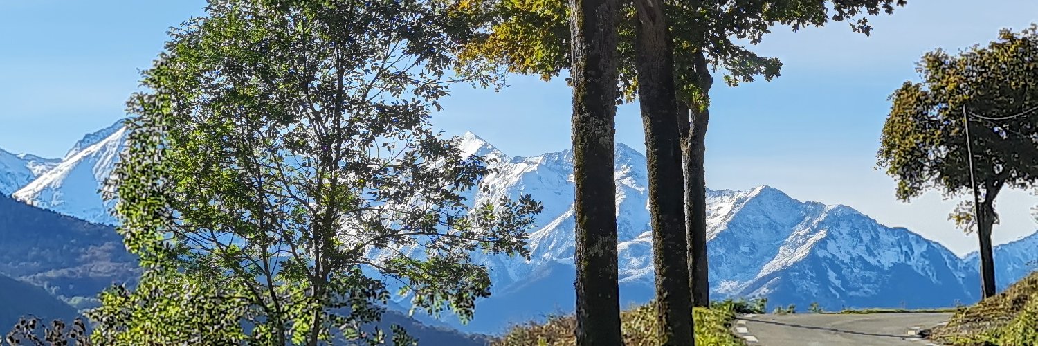 Eric Scherer 🌏 banner