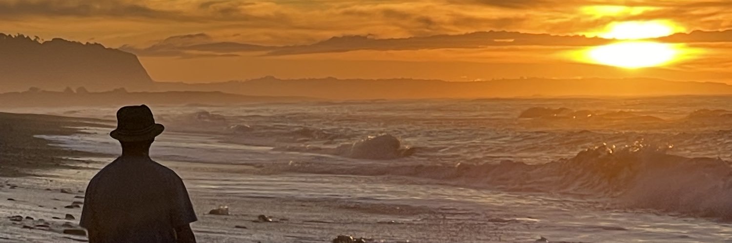 shaunryan banner