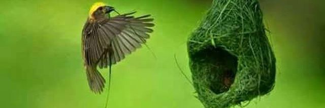 All_Poetry_HomE's profile banner image