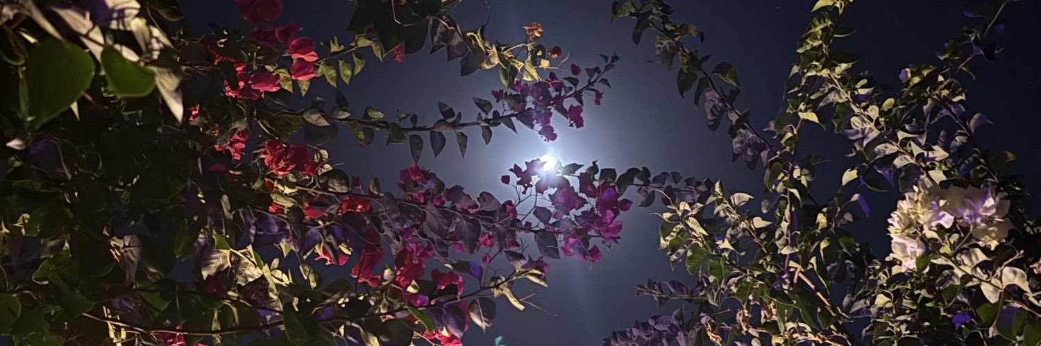 HANASAADF's profile banner image