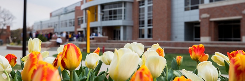 MathEdWSU's profile banner image