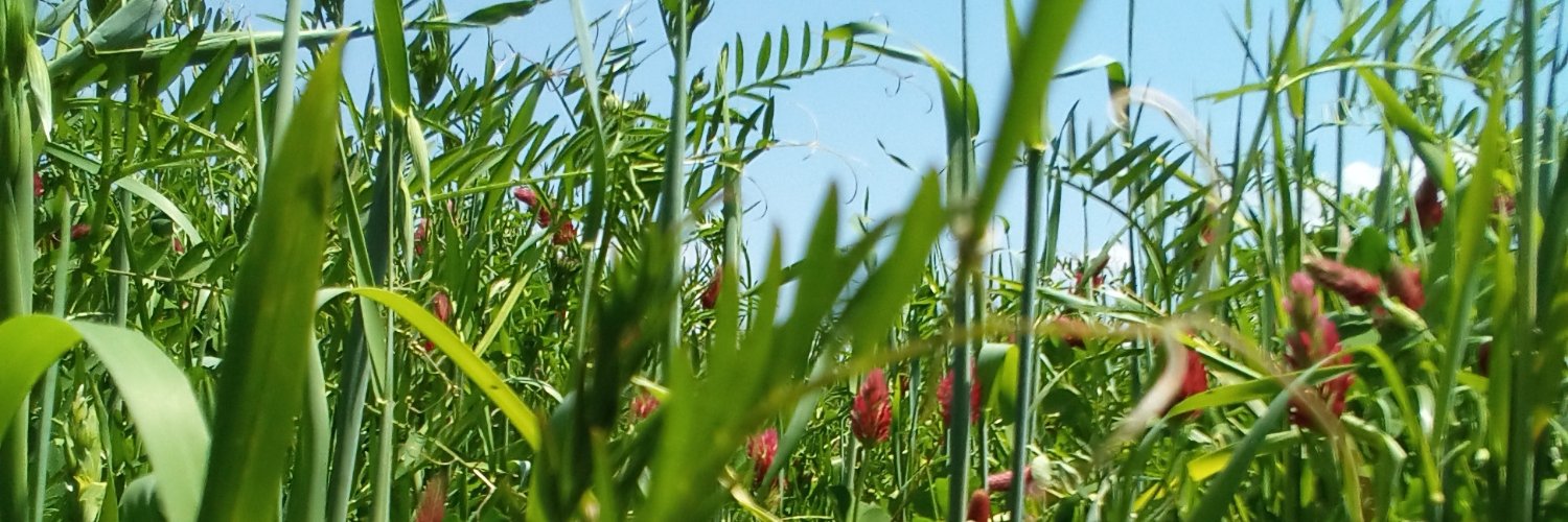 Cackalacka von Clank banner