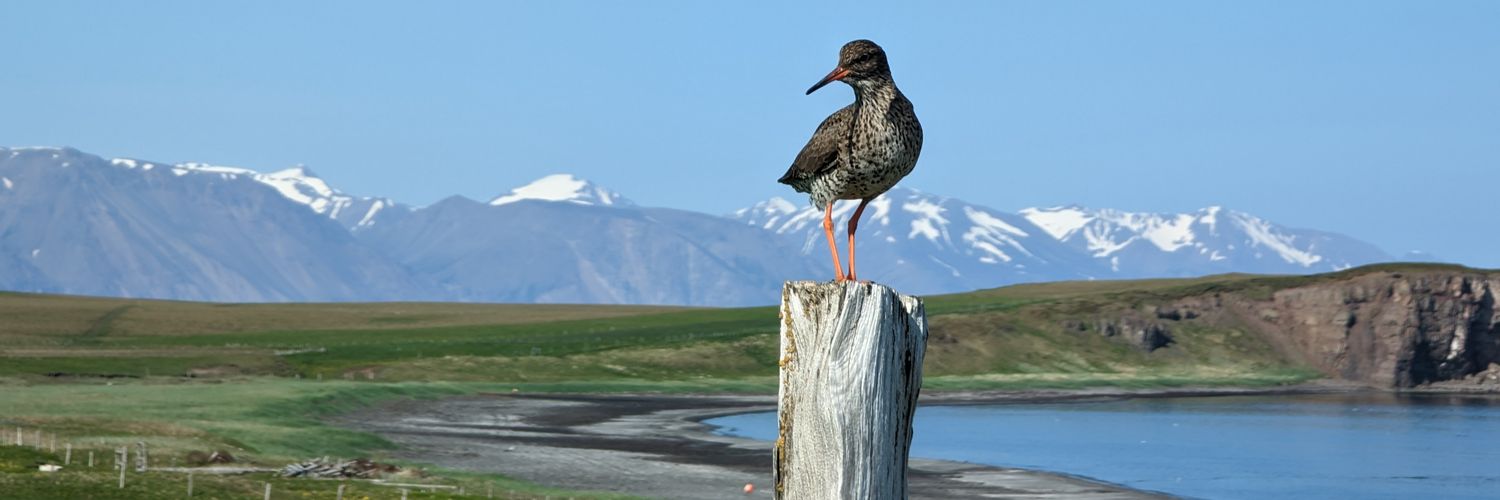 Kevletwit's profile banner image