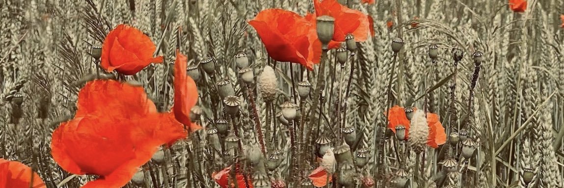c_cichette's profile banner image