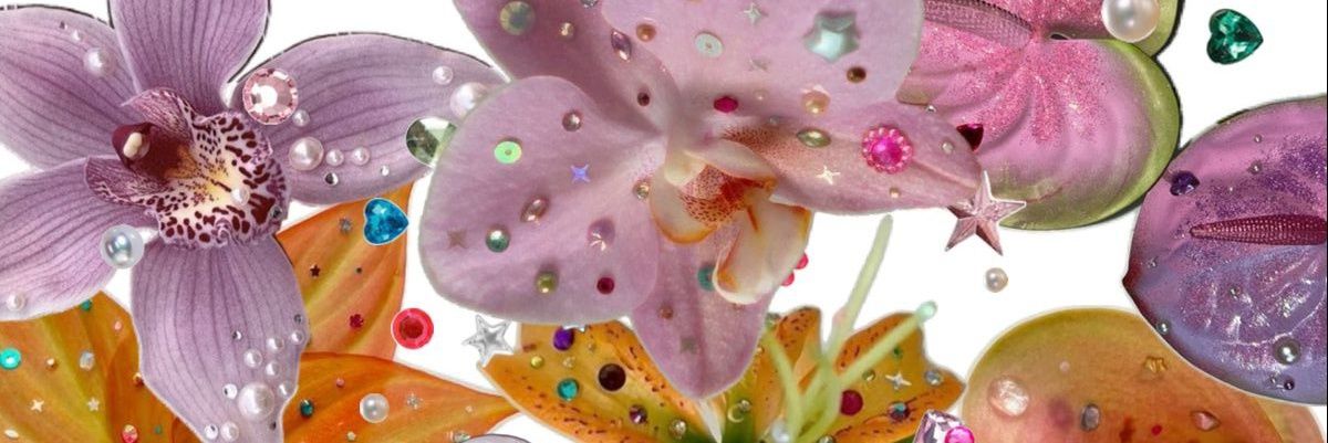 eaigabizera's profile banner image