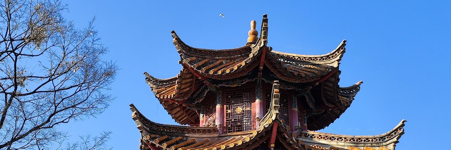 瑞丽观察 banner