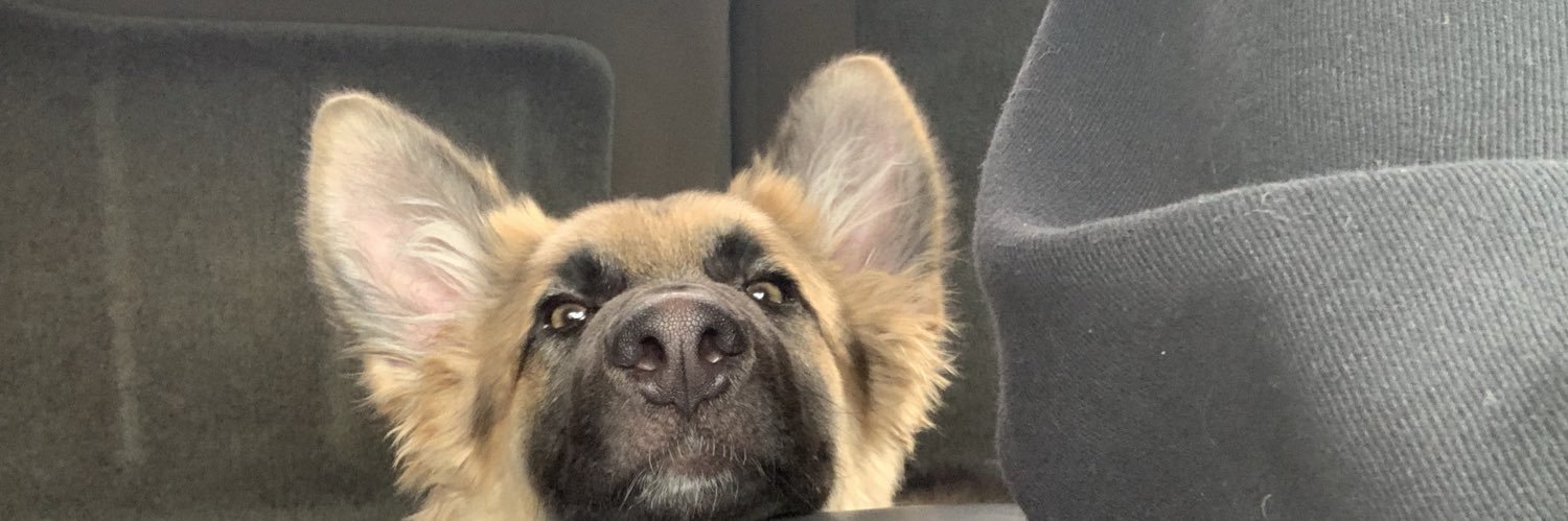 steezy_petey's profile banner image