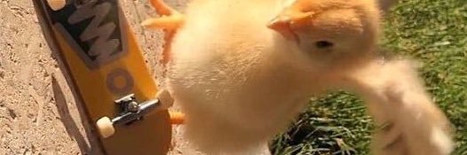 cartertweets19's profile banner image