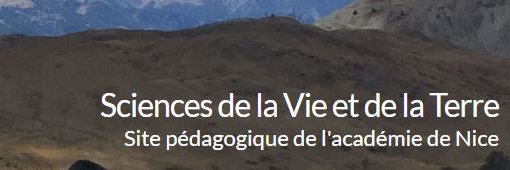 SVT académie de Nice banner