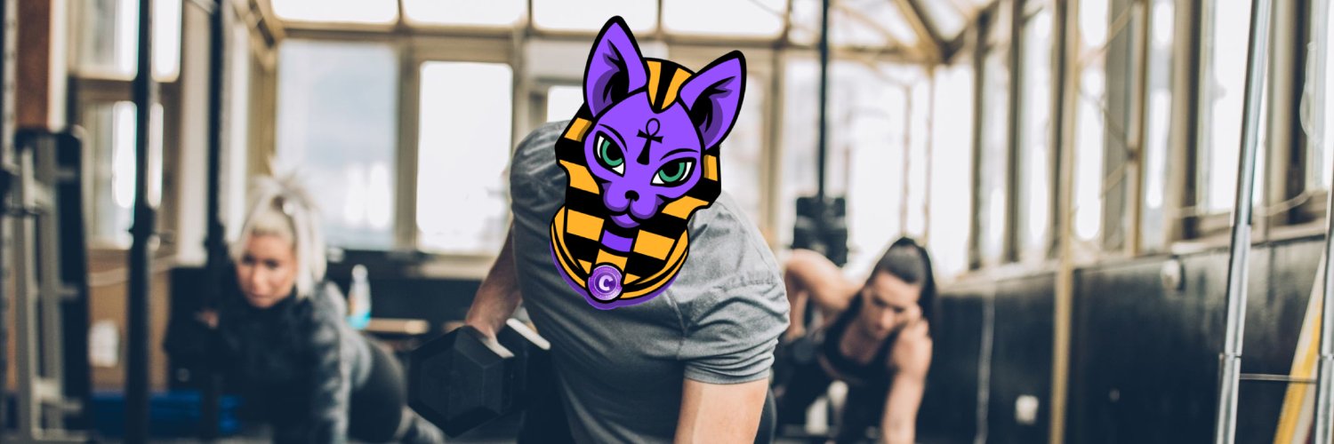 CathorGymSquad's profile banner image
