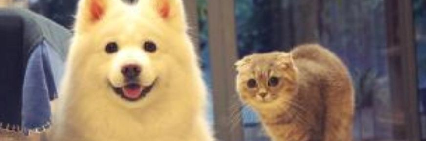 Barum_Babosa's profile banner image