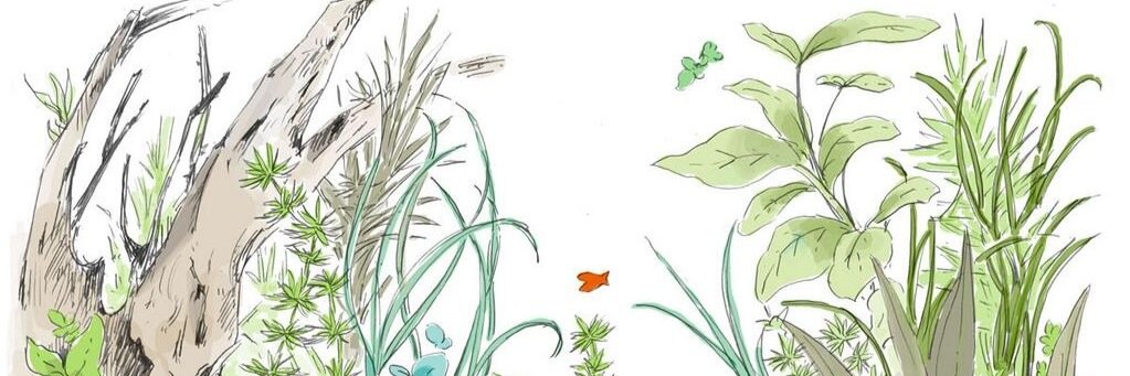 へも banner