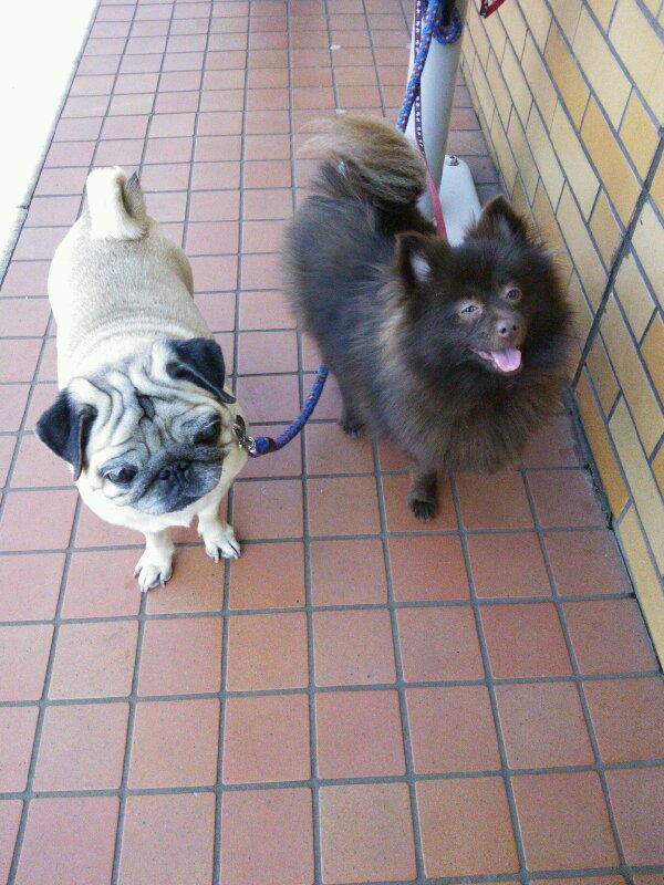 s30012811's profile banner image
