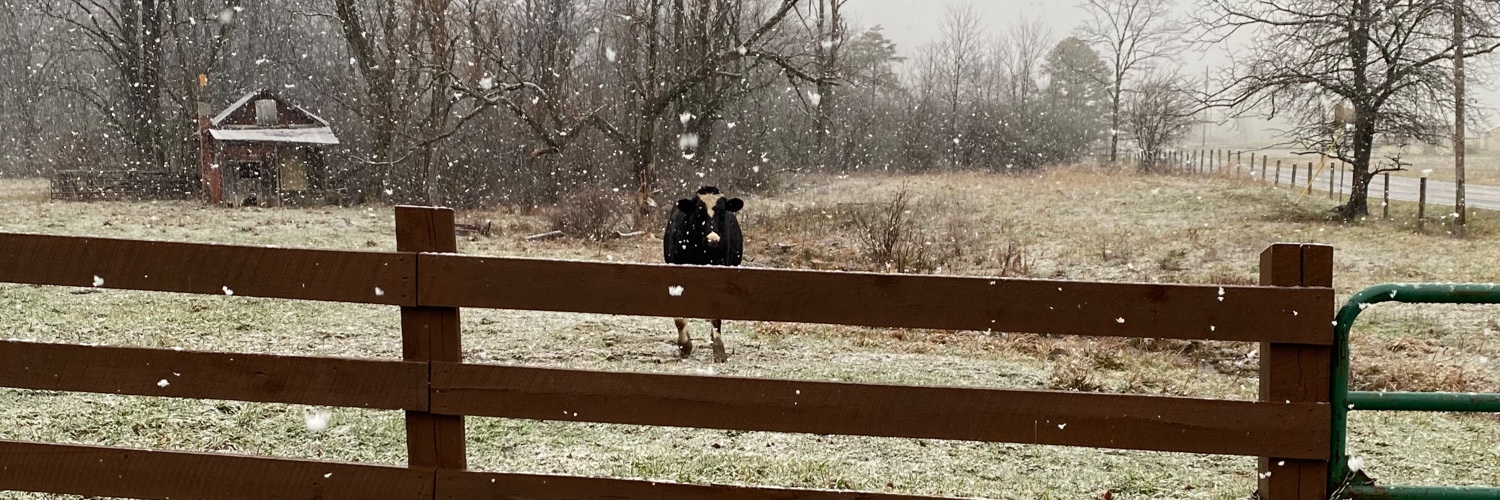 Ms. Elizabeth Holtry banner