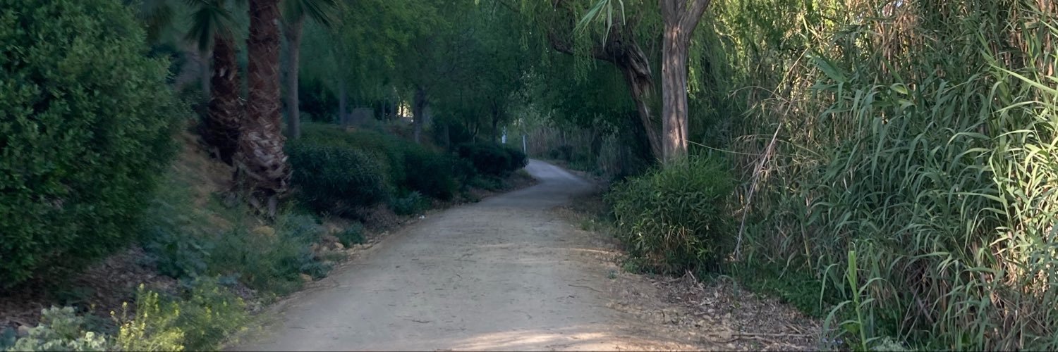 LauraAsins's profile banner image
