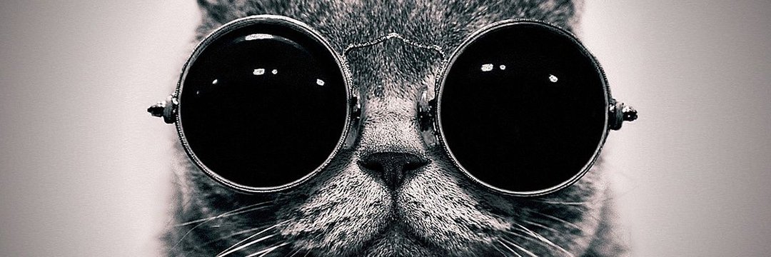 iambigdaddy00's profile banner image