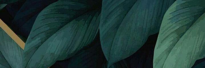ajcastrooo's profile banner image