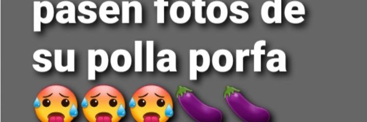 Pokebitch15 banner