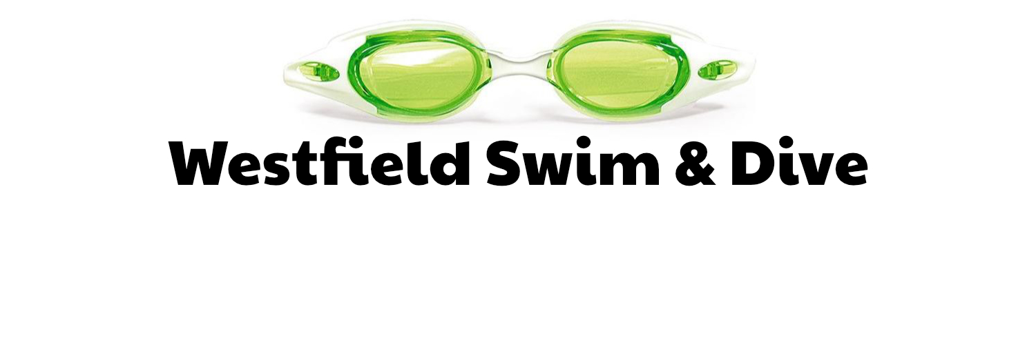 RocksSwim_Dive's profile banner image