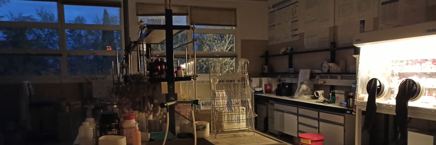 Alberto Moreno Fernández banner