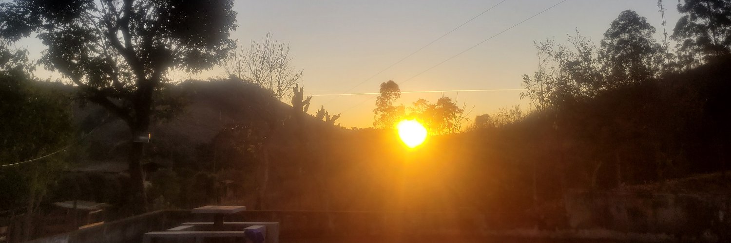 Mateus Pereira banner