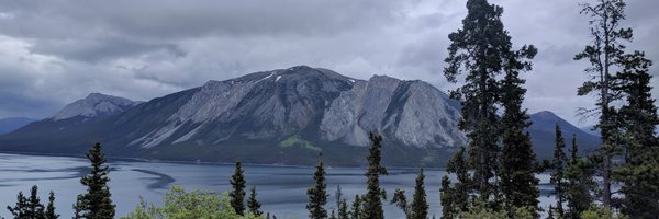 recursivecodes Profile Banner