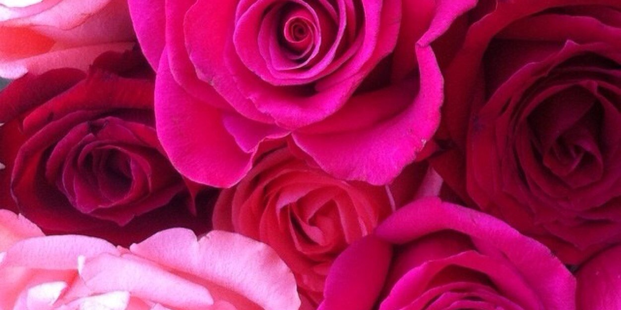 morenitabeth's profile banner image