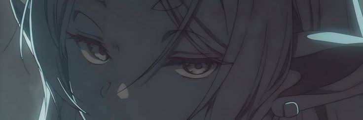 Zy banner