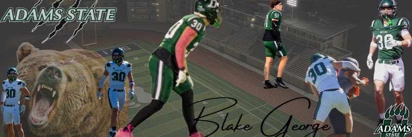 Blake George banner