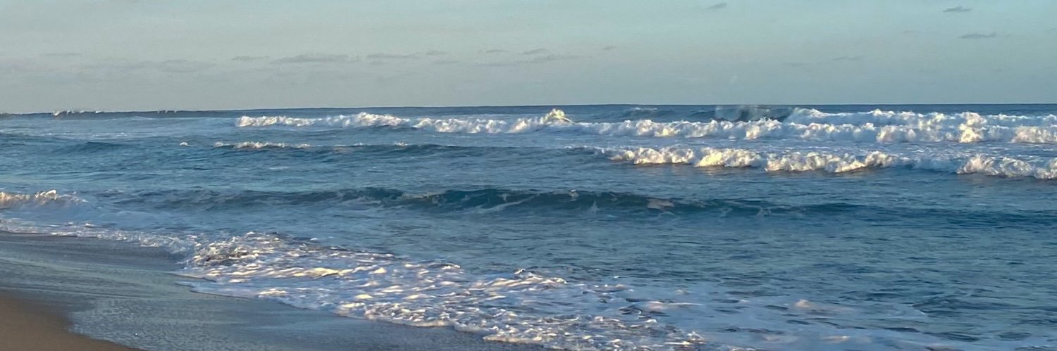 mayisgaga's profile banner image