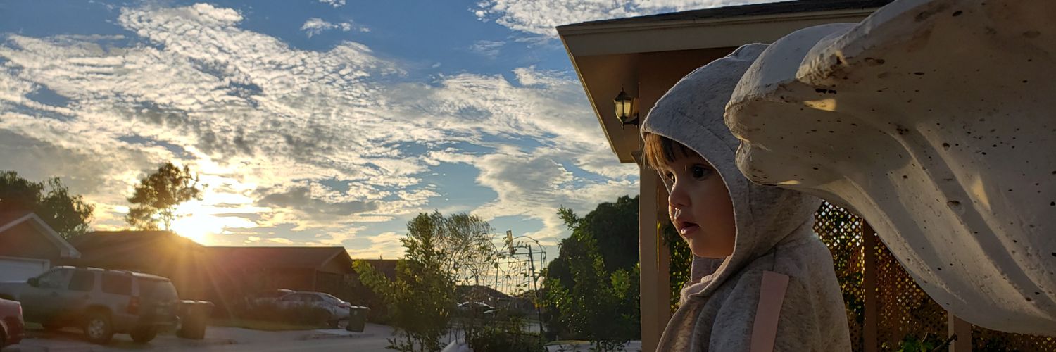 CarIowes's profile banner image