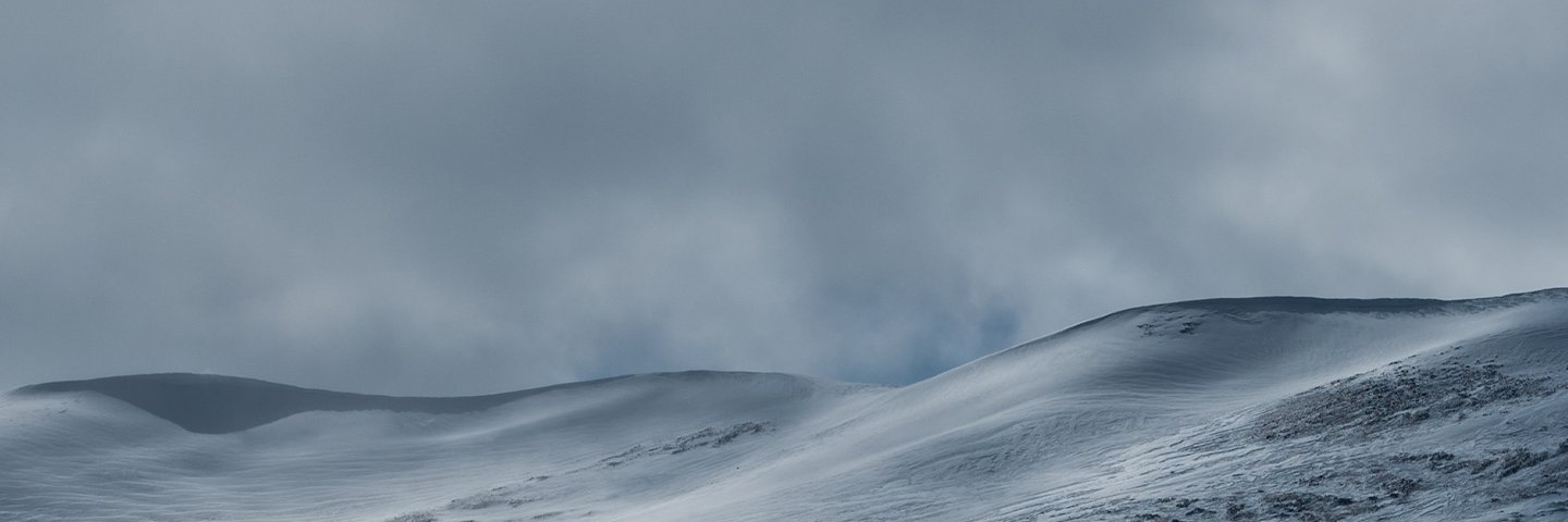 Grungle banner