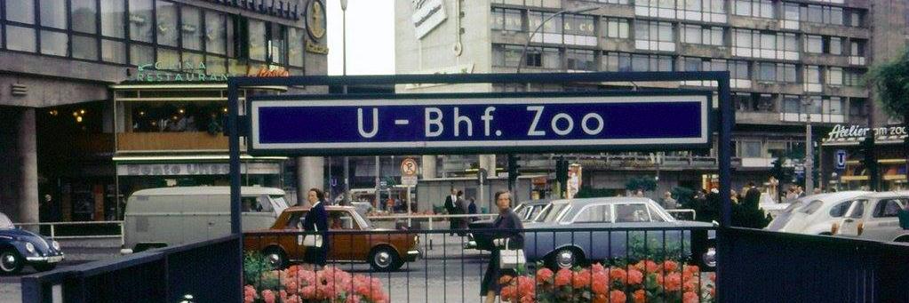 .-/🔌Ferdinand 🔌\-. banner