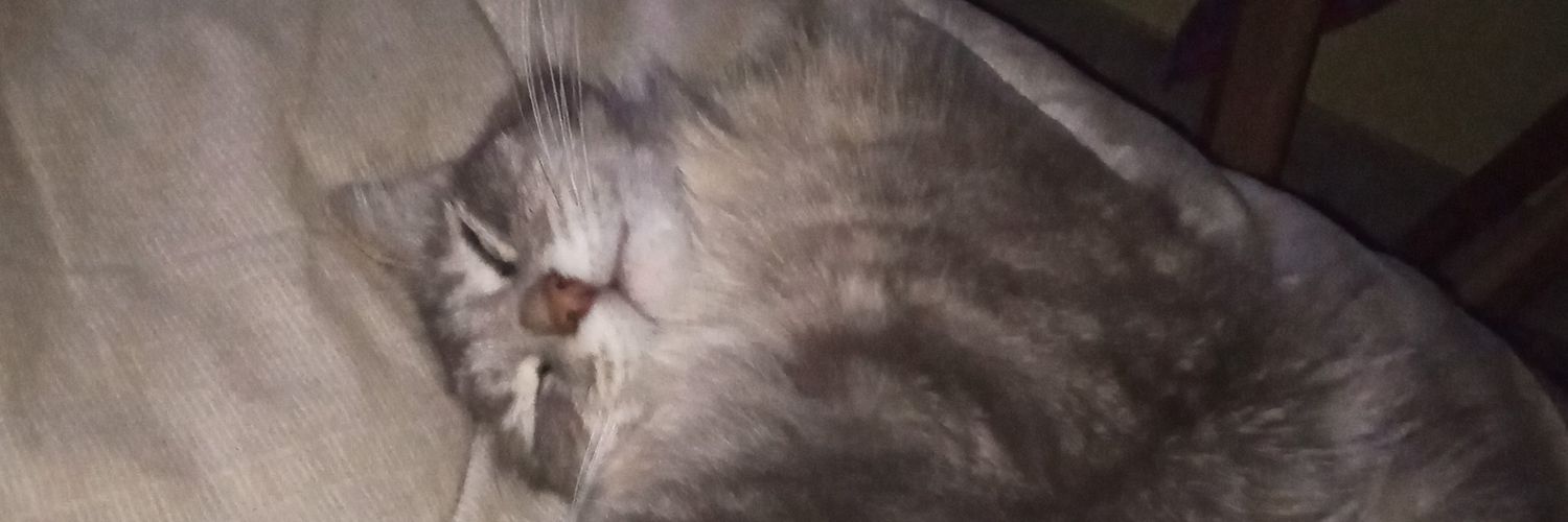 berniburgues's profile banner image
