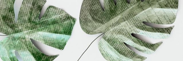 jess_thibodeaux's profile banner image