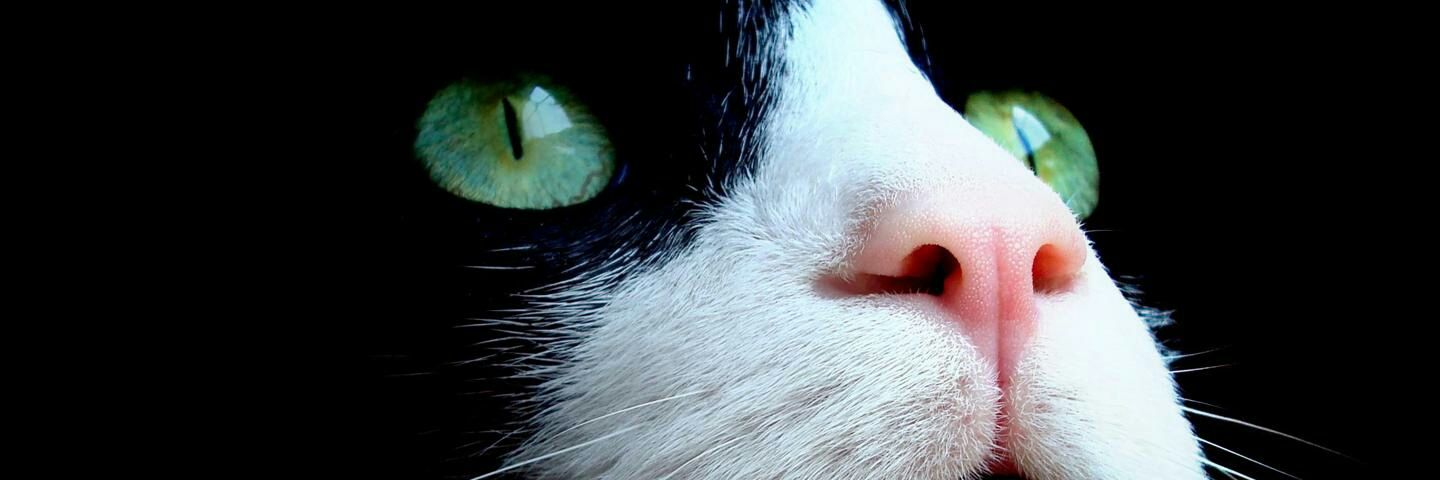 AndriussEl's profile banner image