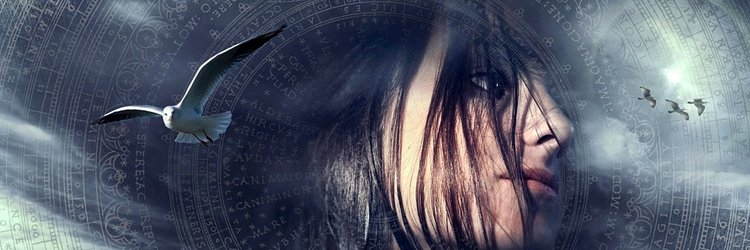 ZenGadgeteer's profile banner image