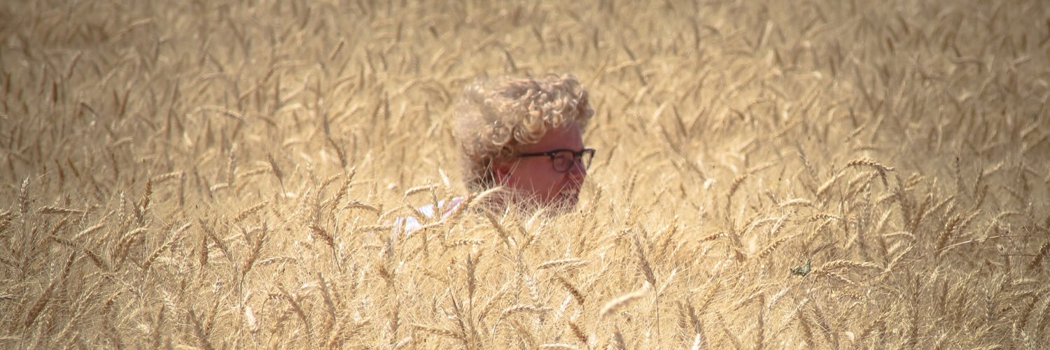 tropicchan's profile banner image