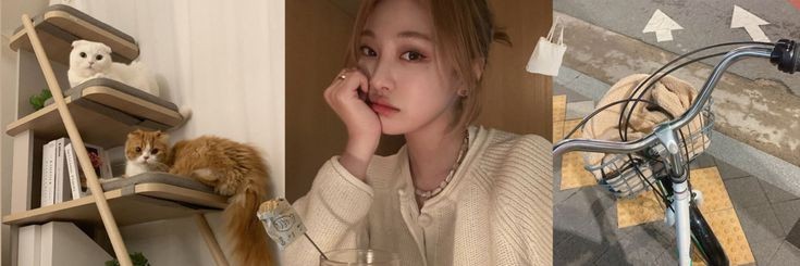 wonusdni's profile banner image